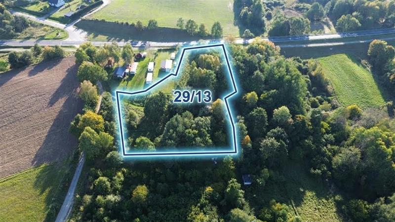 100 0 12550437 0 7