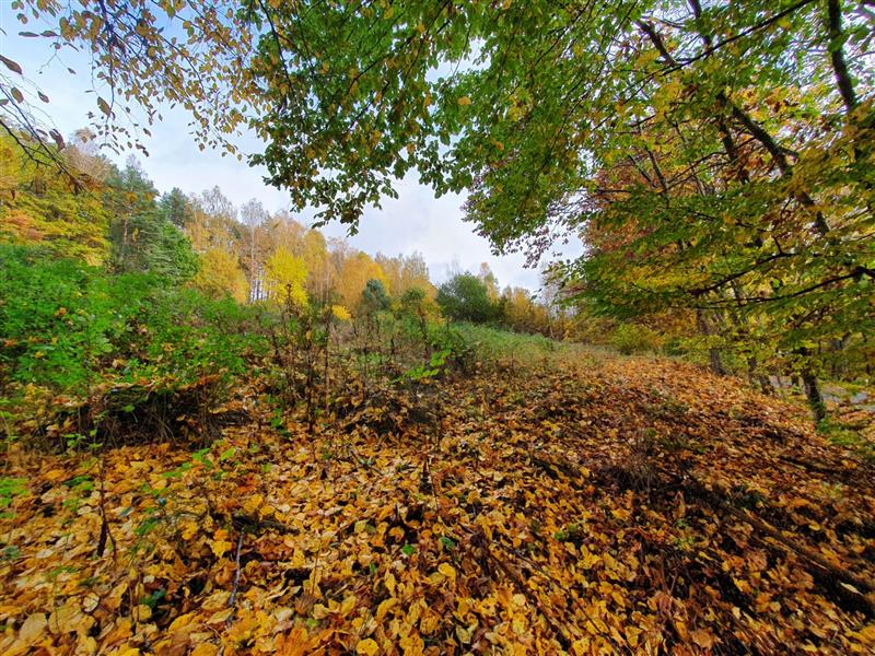 Agencja nieruchomości Koszalin, chmielewski-nieruchomosci