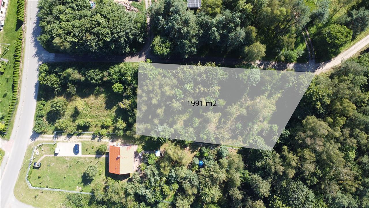 340 0 12298376 1 46